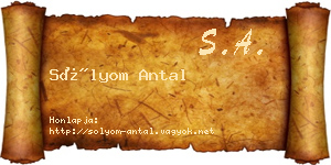 Sólyom Antal névjegykártya
